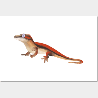 Gargoyle Gecko, Gecko Lovers, Colorful Lizard Posters and Art